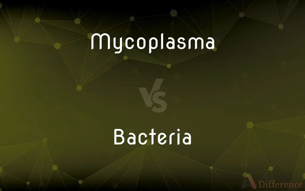 Mycoplasma vs. Bacteria — What's the Difference?