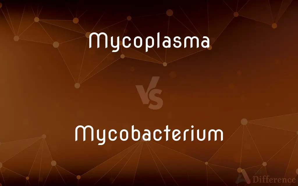 Mycoplasma vs. Mycobacterium — What's the Difference?