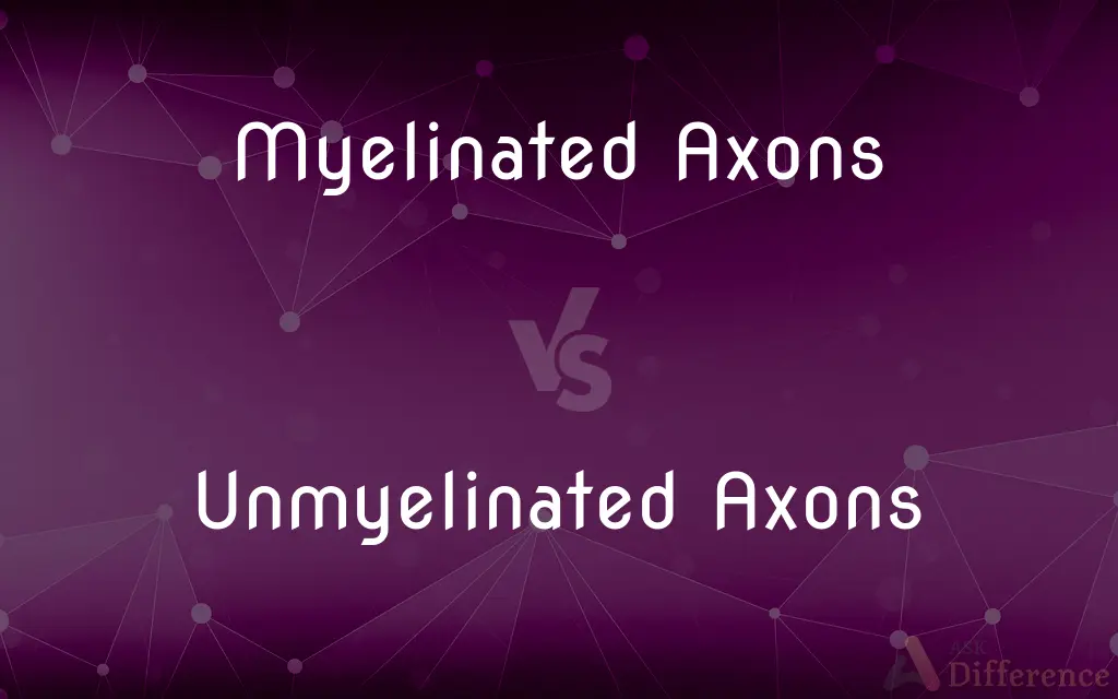 Myelinated Axons vs. Unmyelinated Axons — What's the Difference?