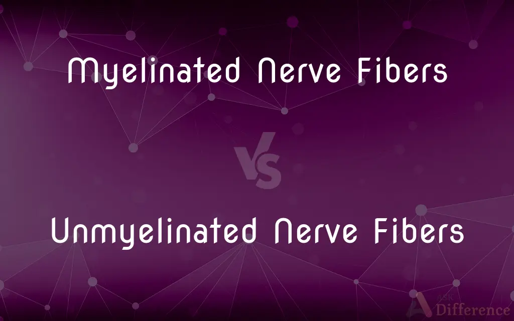 Myelinated Nerve Fibers vs. Unmyelinated Nerve Fibers — What's the Difference?