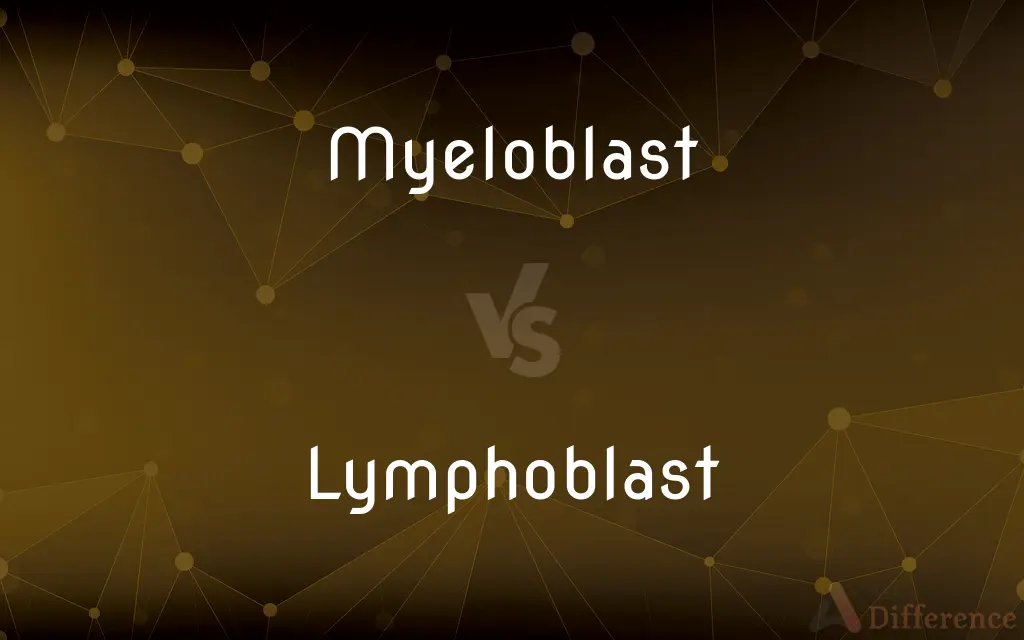 Myeloblast vs. Lymphoblast — What's the Difference?