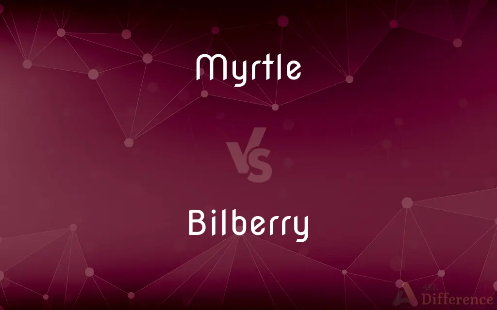 Myrtle vs. Bilberry — What's the Difference?