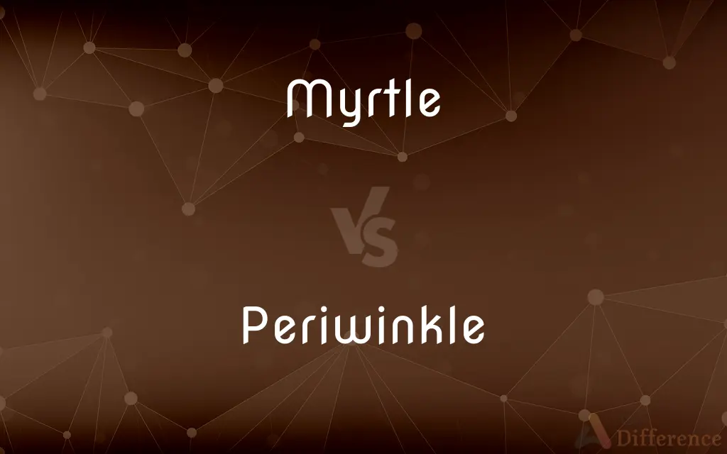Myrtle vs. Periwinkle — What's the Difference?