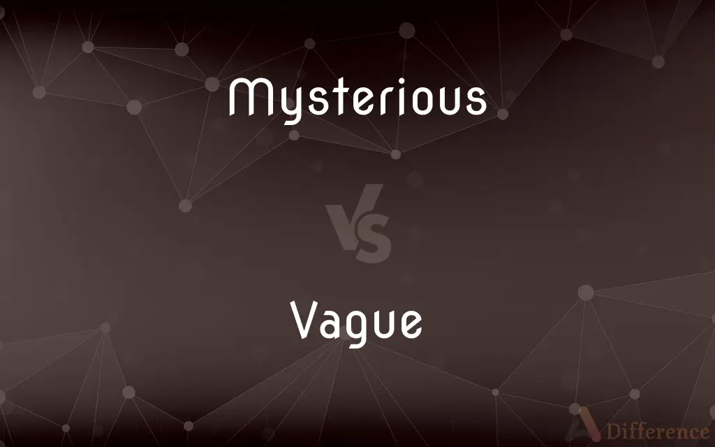 Mysterious vs. Vague — What's the Difference?