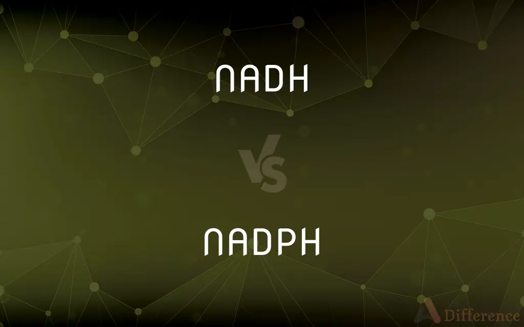 NADH vs. NADPH — What's the Difference?