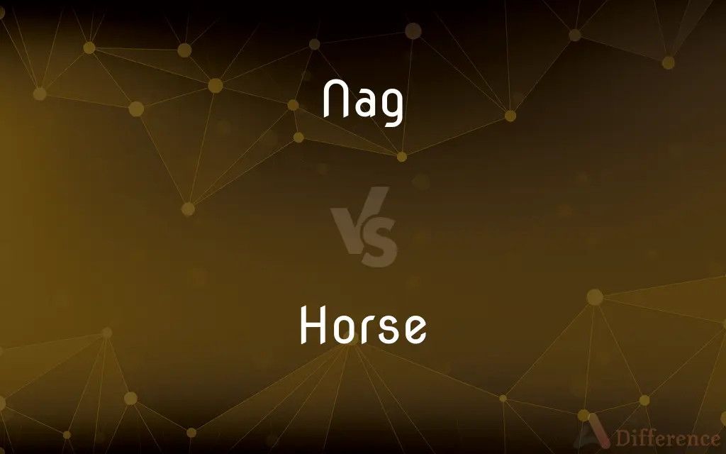 Nag vs. Horse — What's the Difference?