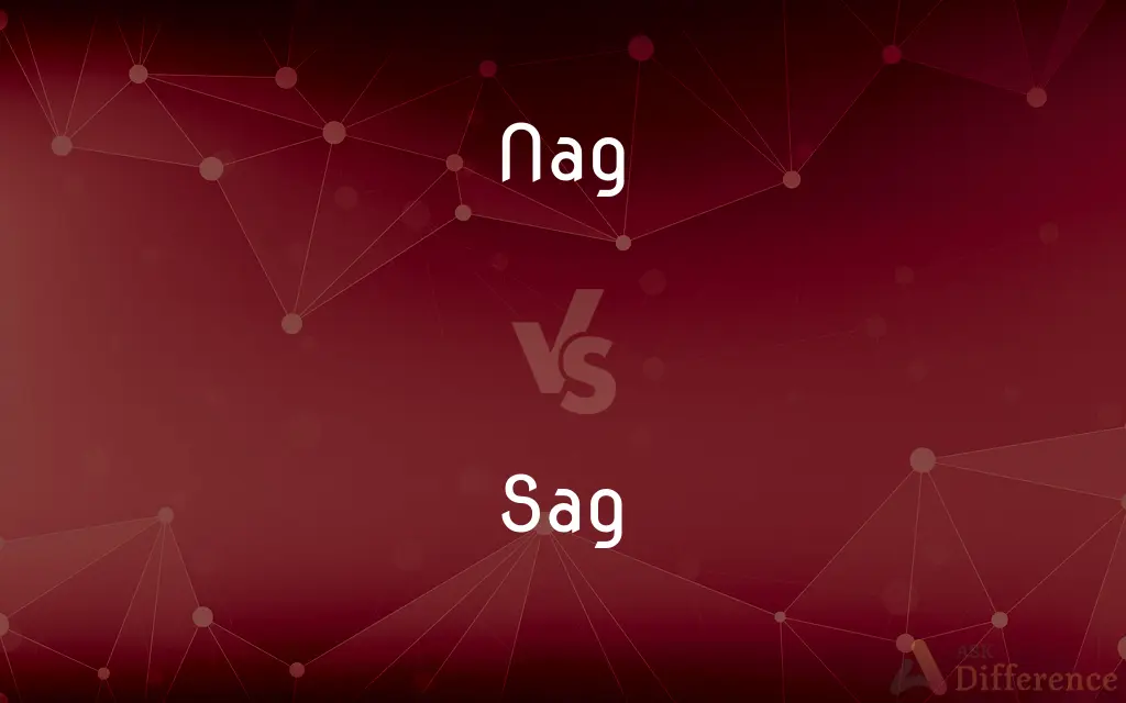Nag vs. Sag — What's the Difference?