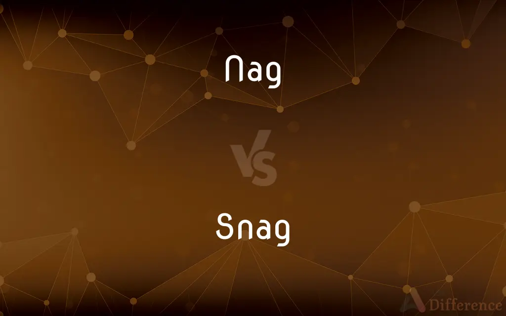 Nag vs. Snag — What's the Difference?