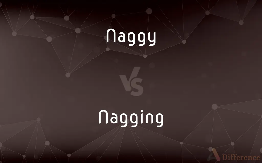 Naggy vs. Nagging — What's the Difference?