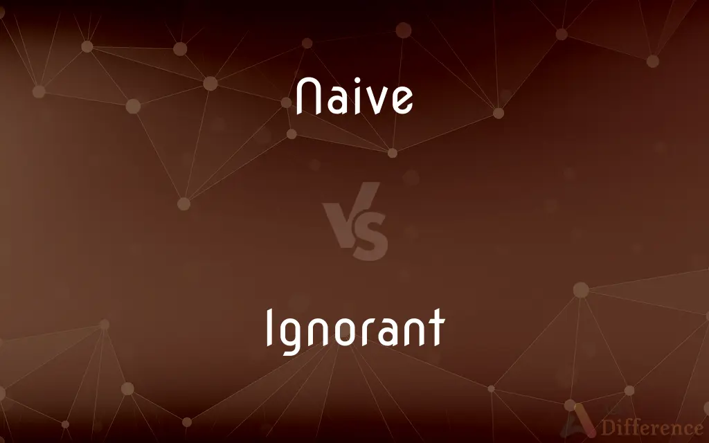Naive vs. Ignorant — What's the Difference?