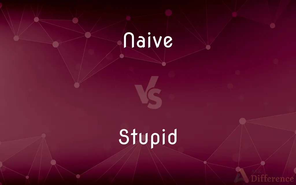 Naive vs. Stupid — What's the Difference?