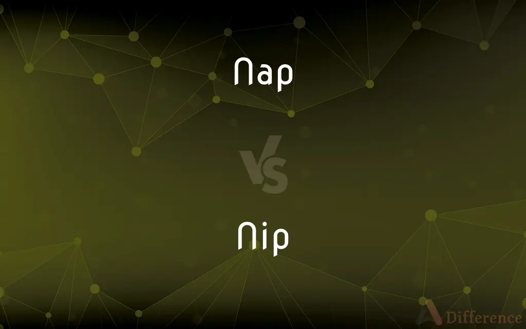 Nap vs. Nip — What's the Difference?