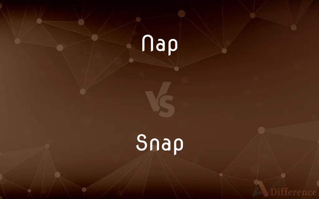 Nap vs. Snap — What's the Difference?