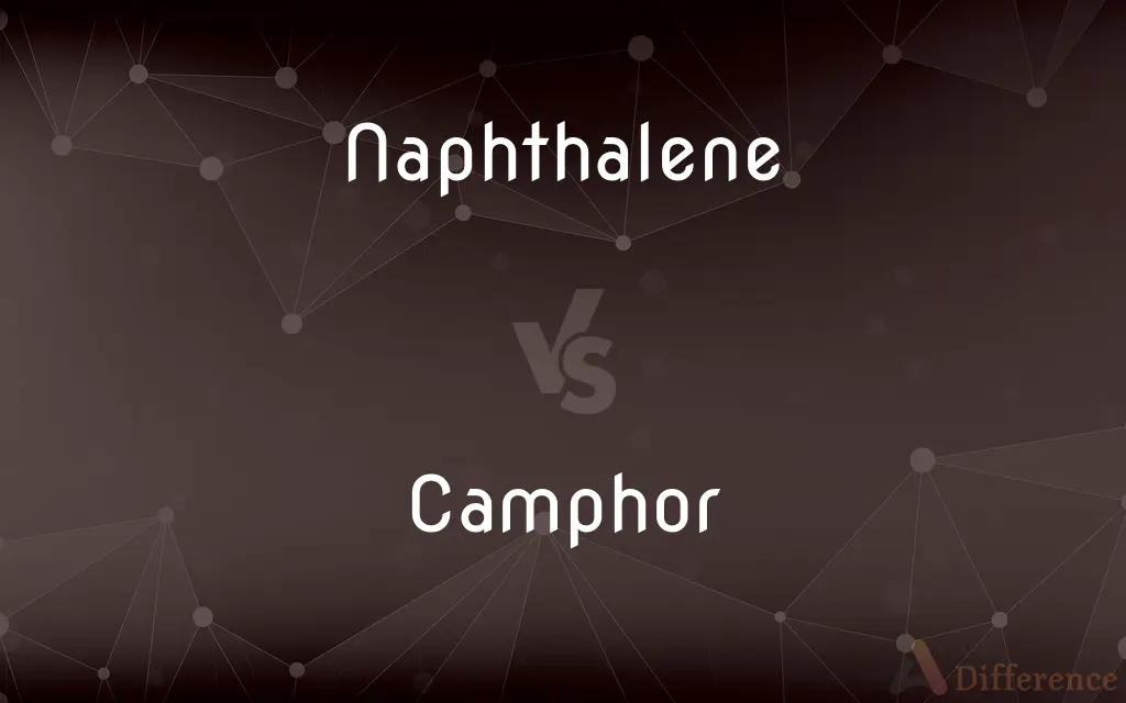 Naphthalene vs. Camphor — What's the Difference?