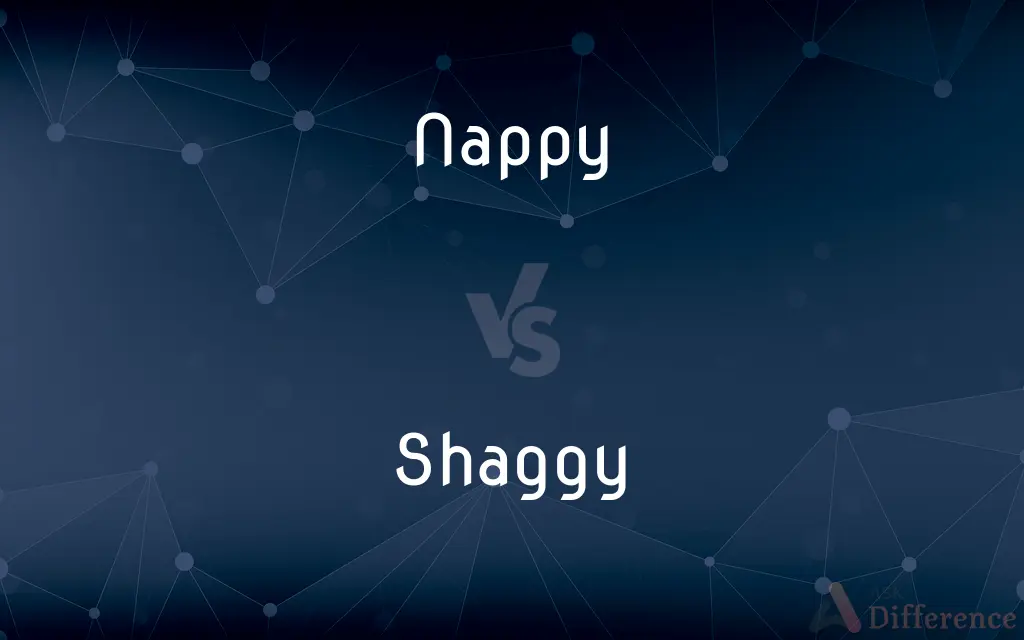 Nappy vs. Shaggy — What's the Difference?