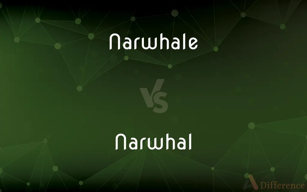 Narwhale vs. Narwhal — What's the Difference?
