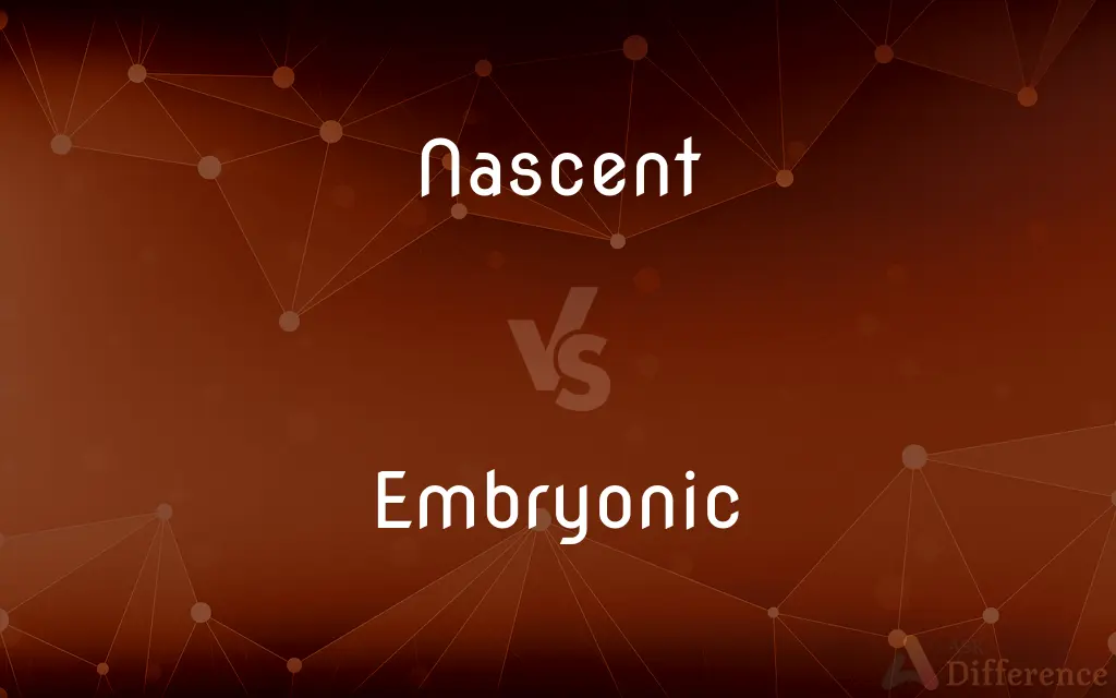 Nascent vs. Embryonic — What's the Difference?