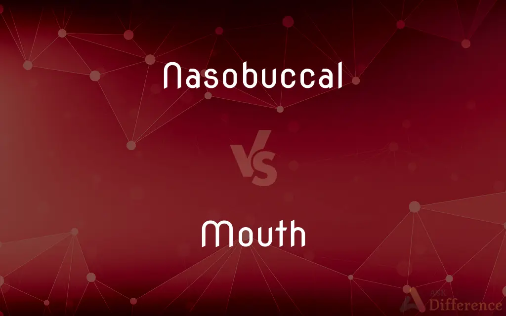 Nasobuccal vs. Mouth — What's the Difference?
