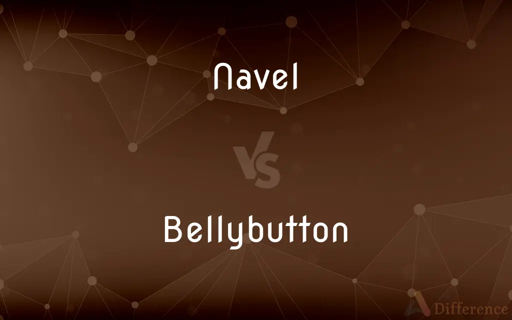Navel vs. Bellybutton — What's the Difference?