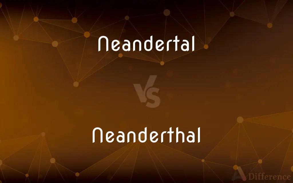Neandertal vs. Neanderthal — What's the Difference?