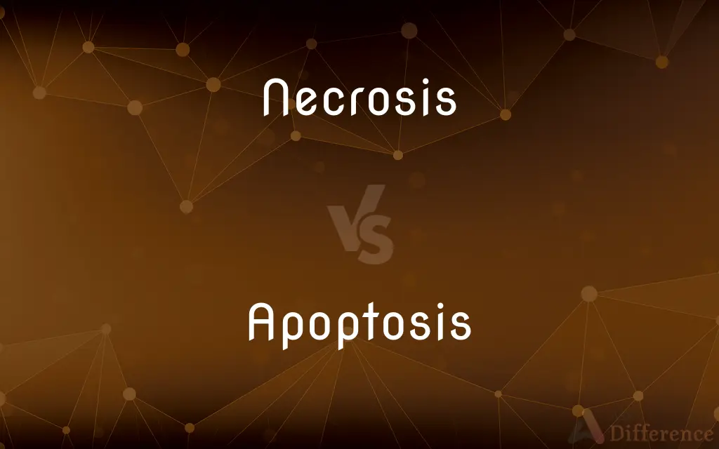Necrosis vs. Apoptosis — What's the Difference?