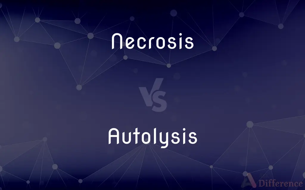 Necrosis vs. Autolysis — What's the Difference?