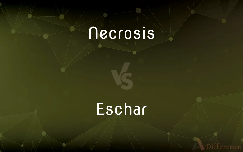 Necrosis vs. Eschar — What's the Difference?