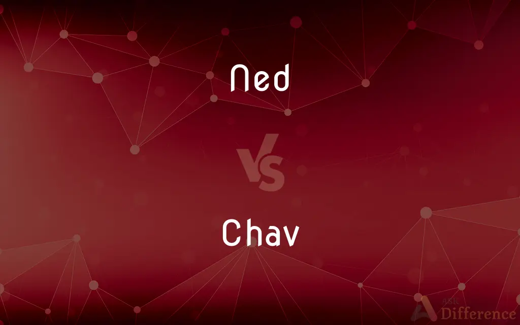 Ned vs. Chav — What's the Difference?