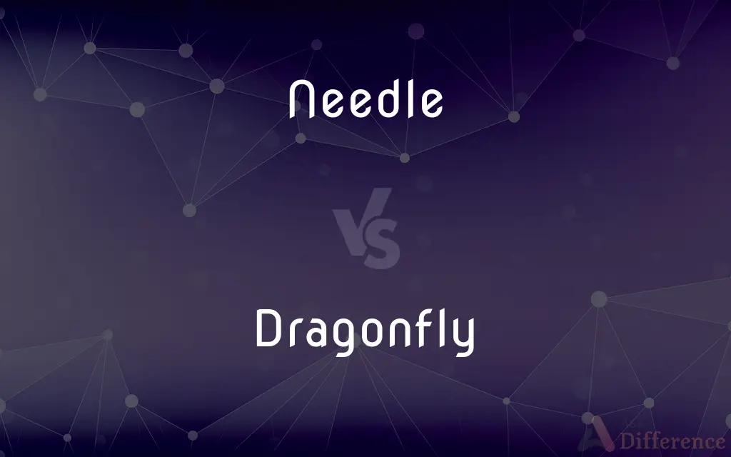Needle vs. Dragonfly — What's the Difference?