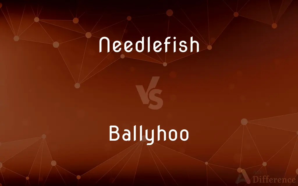 Needlefish vs. Ballyhoo — What's the Difference?