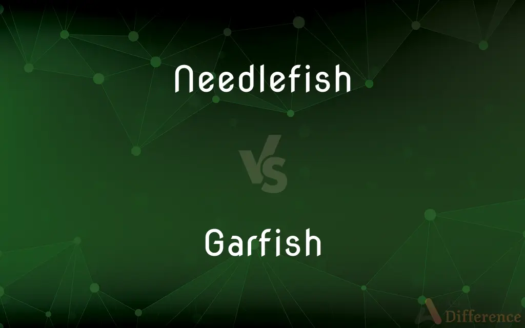 Needlefish vs. Garfish — What's the Difference?