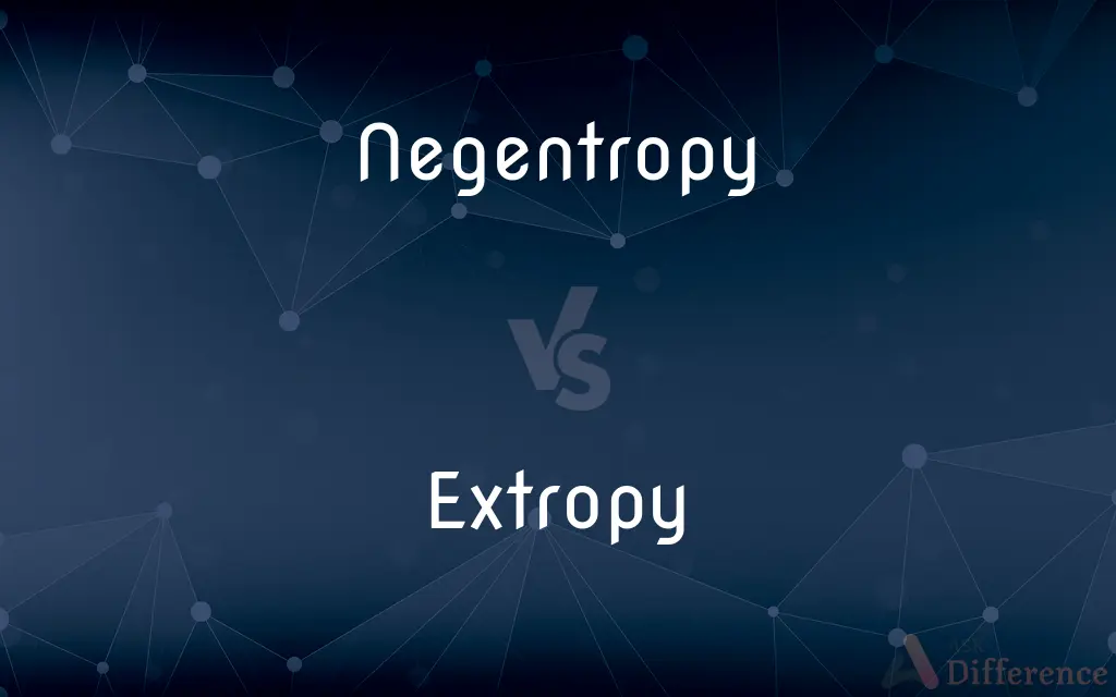 Negentropy vs. Extropy — What's the Difference?