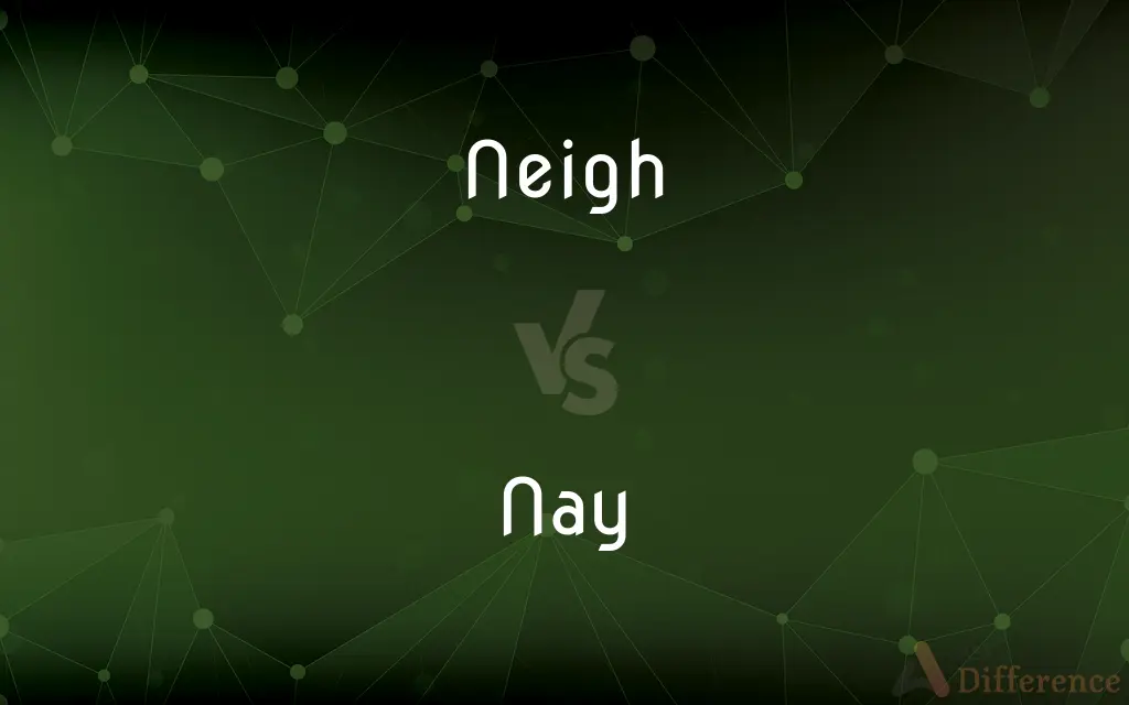 Neigh vs. Nay — What's the Difference?