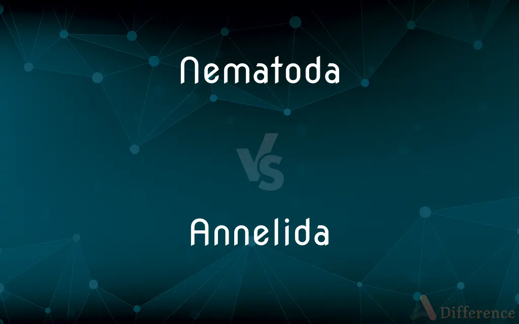 Nematoda vs. Annelida — What's the Difference?
