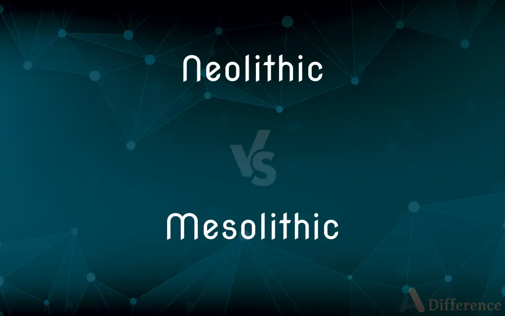 Neolithic vs. Mesolithic — What's the Difference?