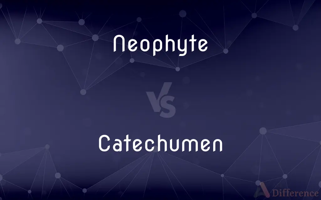 Neophyte vs. Catechumen — What's the Difference?