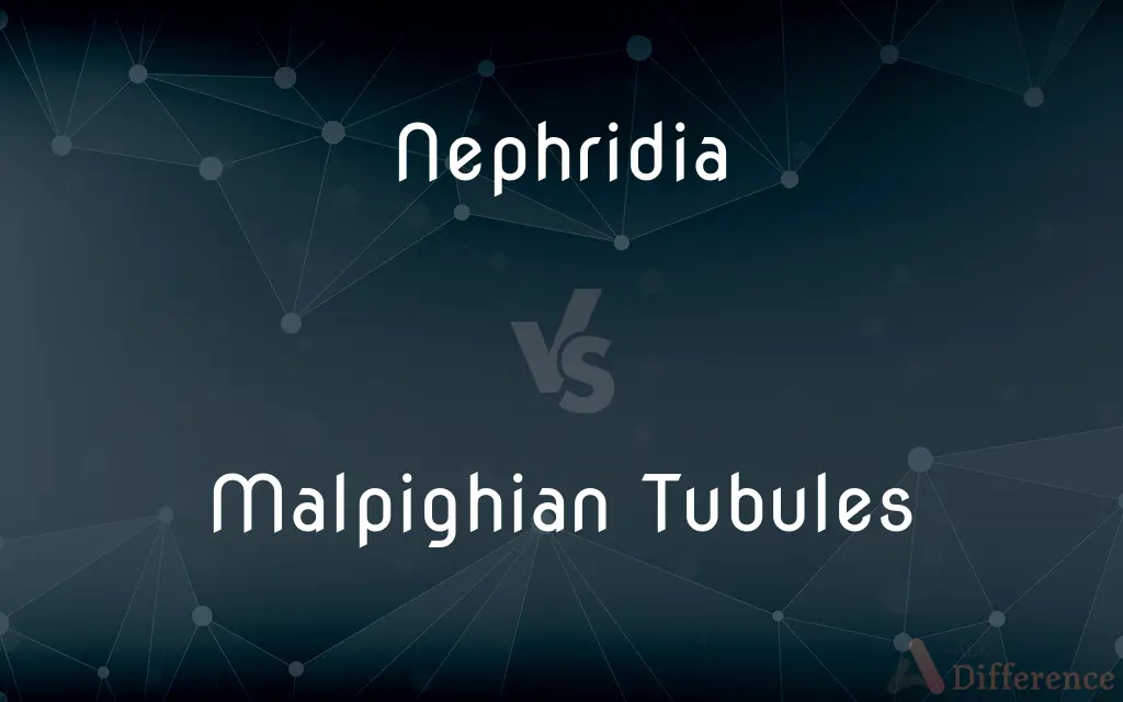 Nephridia vs. Malpighian Tubules — What's the Difference?