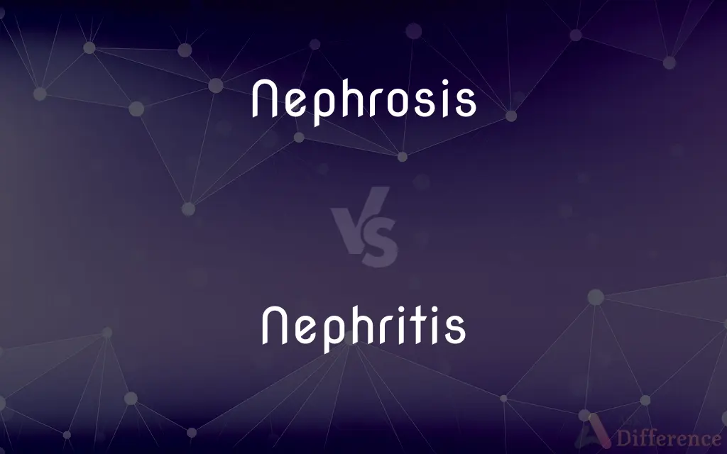 Nephrosis vs. Nephritis — What's the Difference?