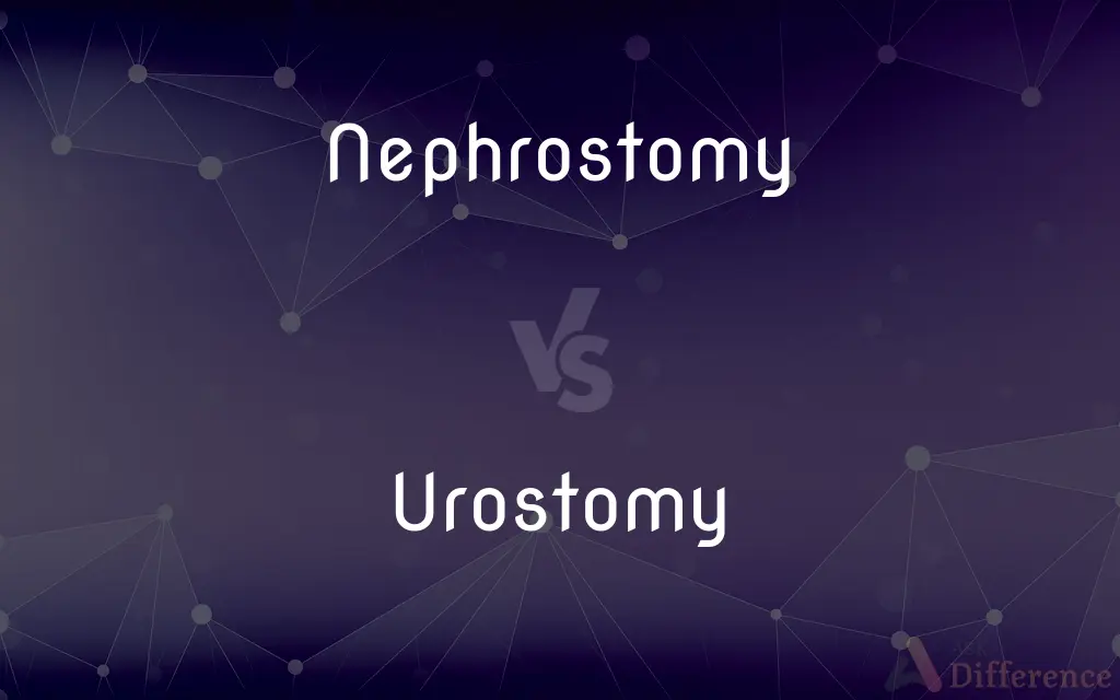 Nephrostomy vs. Urostomy — What's the Difference?