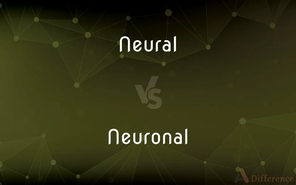 Neural vs. Neuronal — What's the Difference?