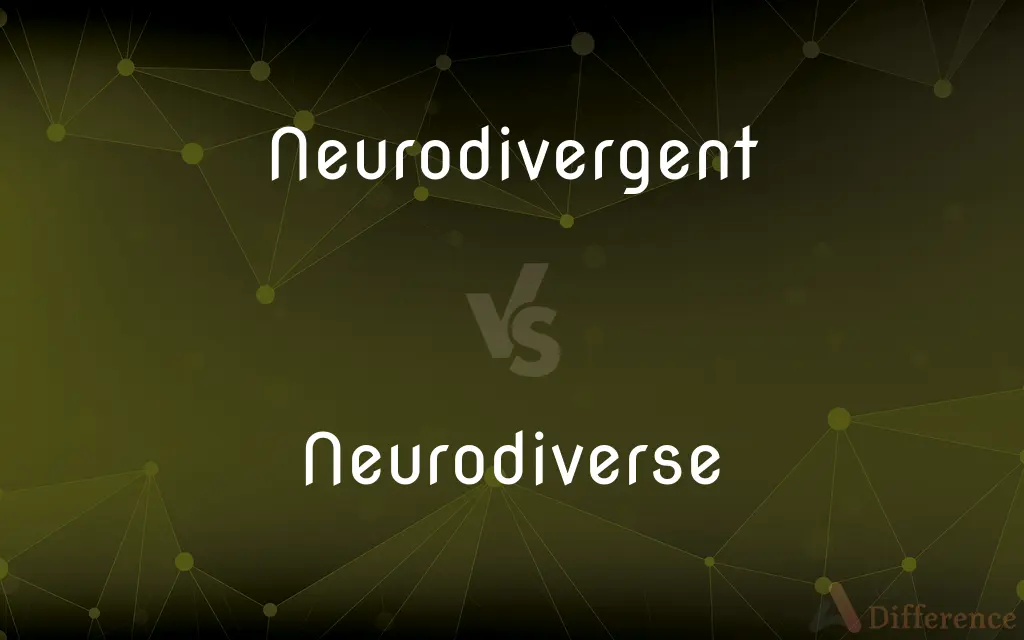 Neurodivergent vs. Neurodiverse — What's the Difference?