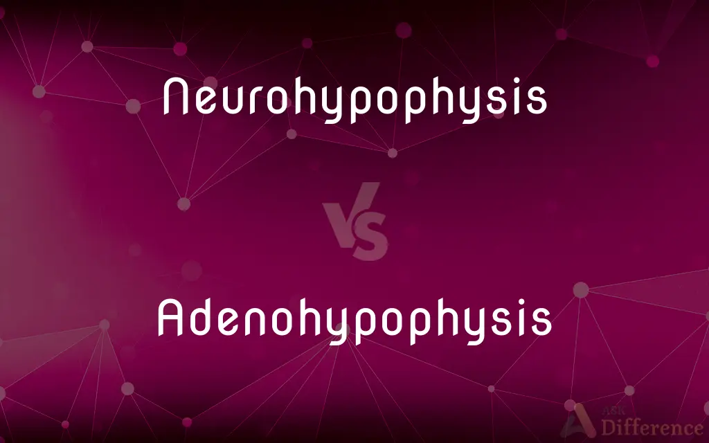 Neurohypophysis vs. Adenohypophysis — What's the Difference?