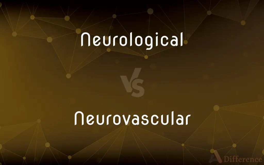 Neurological vs. Neurovascular — What's the Difference?