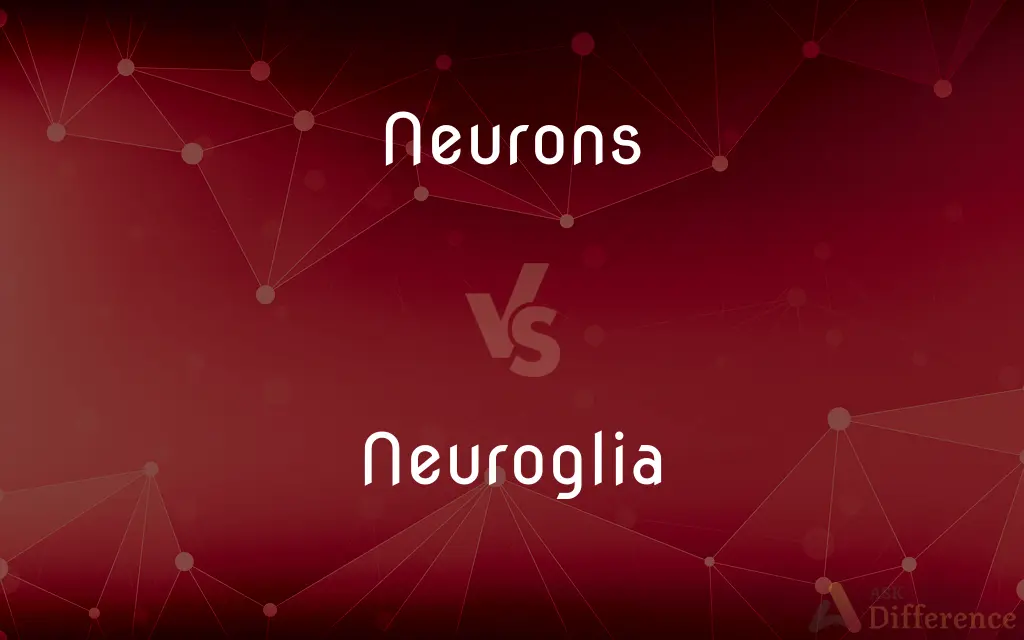 Neurons vs. Neuroglia — What's the Difference?