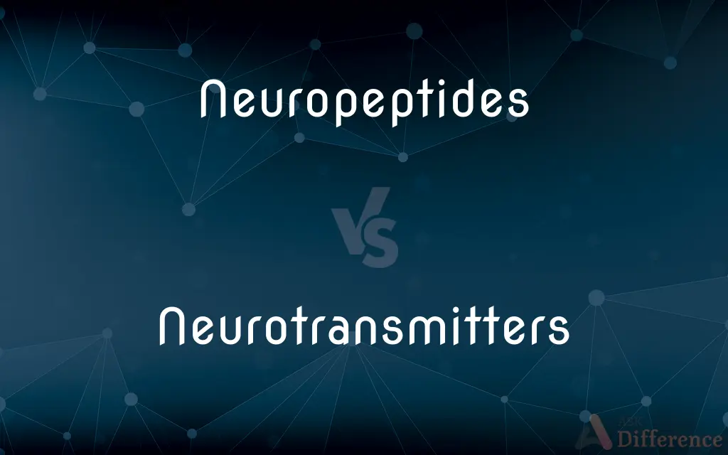 Neuropeptides vs. Neurotransmitters — What's the Difference?