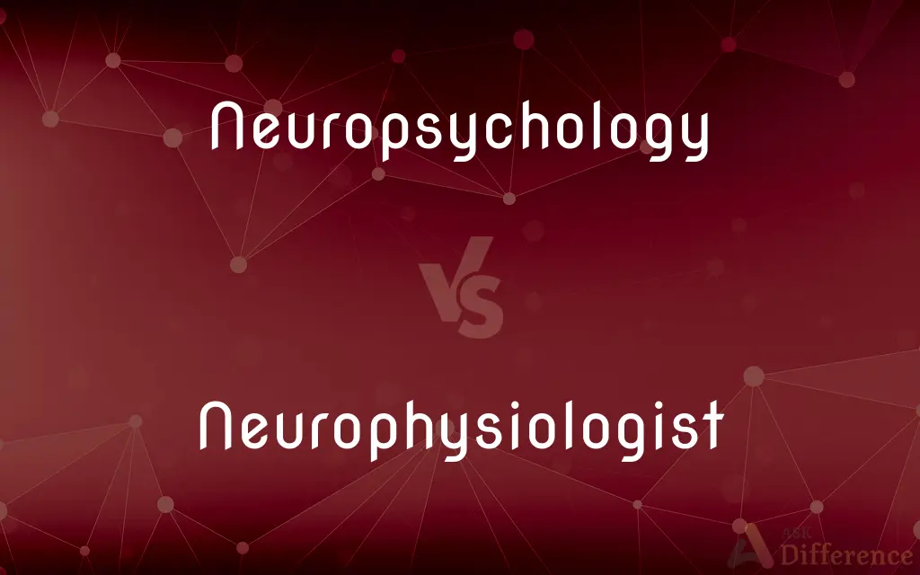 Neuropsychology vs. Neurophysiologist — What's the Difference?