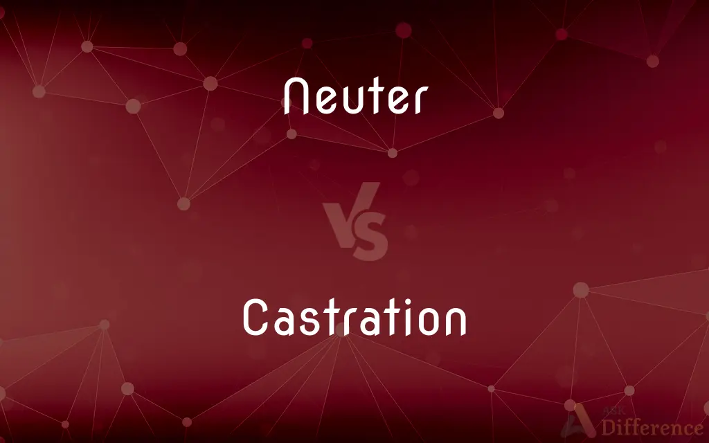 Neuter vs. Castration — What's the Difference?