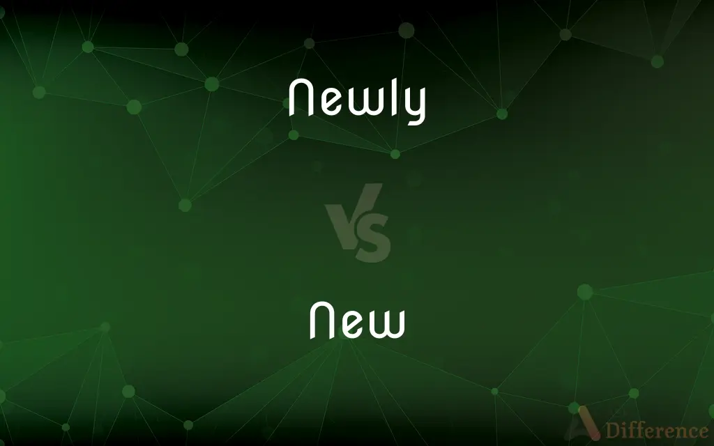 Newly vs. New — What's the Difference?
