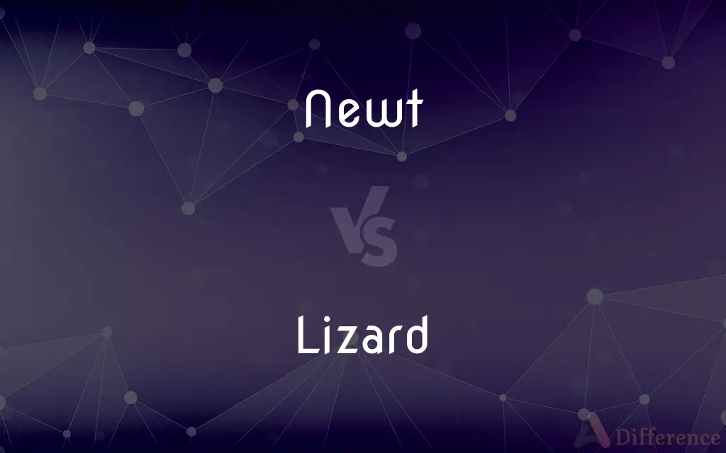 Newt vs. Lizard — What's the Difference?