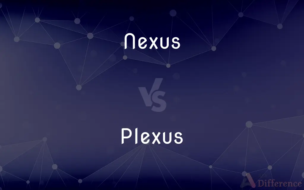 Nexus vs. Plexus — What's the Difference?